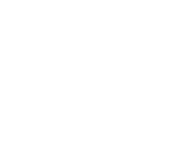 Boi de Ouro